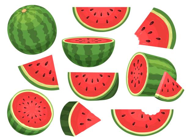 Cartoon fresh green open watermelon half, slices and triangles. Red watermelon piece with bite. Sliced cocktail water melon fruit vector set vector art illustration