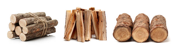 tronchi di pino - lumber industry tree log tree trunk foto e immagini stock
