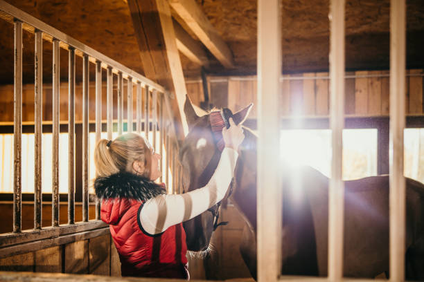 istock Woman brushing her horse head at barn 1372322847