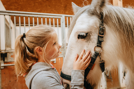 A young girl hugging a horse. Friendship between human and animal.