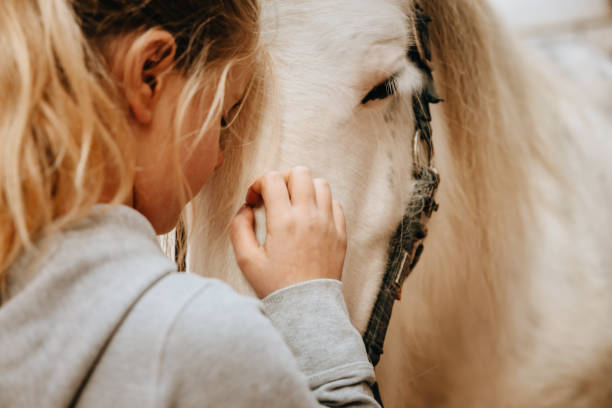 말 돌보는 어린 소녀의 클로즈업 - animal head horse stable barn 뉴스 사진 이미지