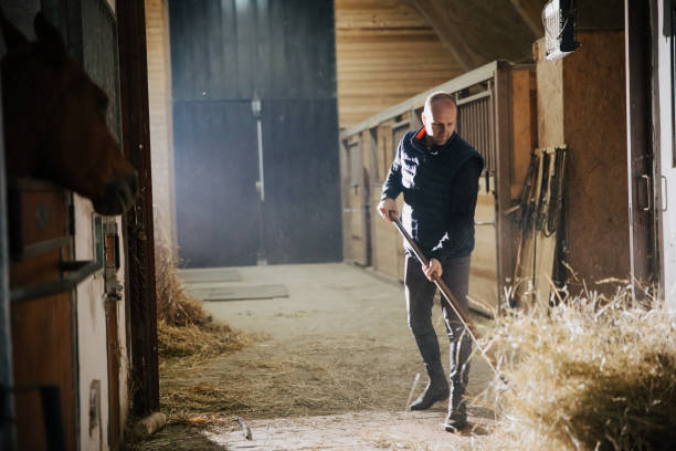 istock Mid adult man using pitchfork for cleaning hay 1372324165