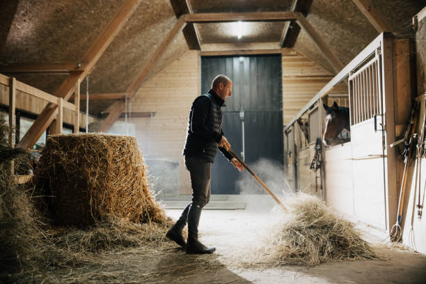 istock Man cleaning his barn with pitchfork 1372324167