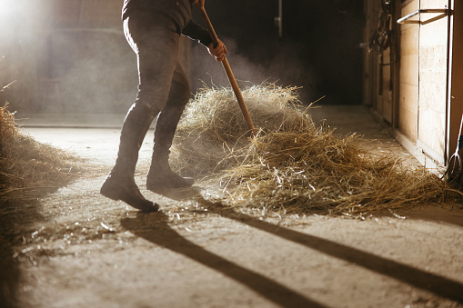 Low section of man working using pitchfork at the barn