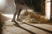 Low section of man working at the barn