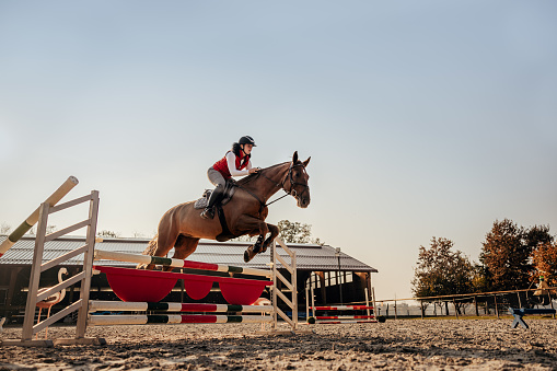 Young female jockey on horse jumping over hurdle on equestrian sport competition