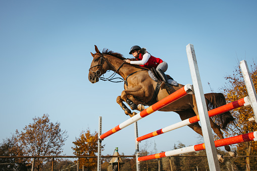 Low angle view young female jockey on horse jumping over hurdle on equestrian sport competition