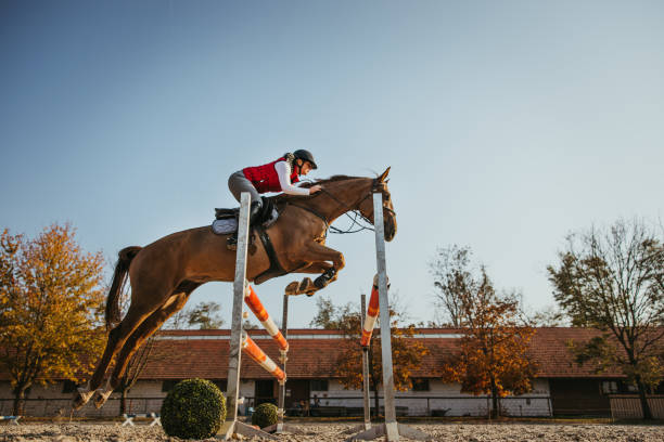 Low angle view of horse jumping over hurdle on equestrian sport competition