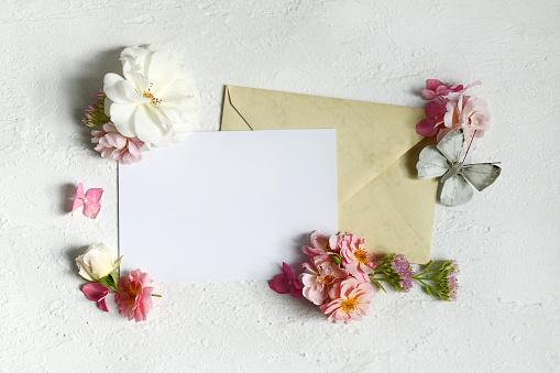 Beautiful arrangement of empty card, envelope, butterfly and flowers