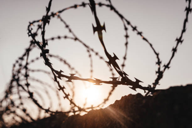 Steel barbed wire Steel twisted barbed wire. The concept of freedom and a better life on the other side. war zone stock pictures, royalty-free photos & images