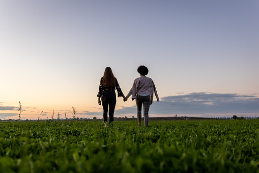 Rear view of gay interracial couple holdings hands while walking on field during sunset