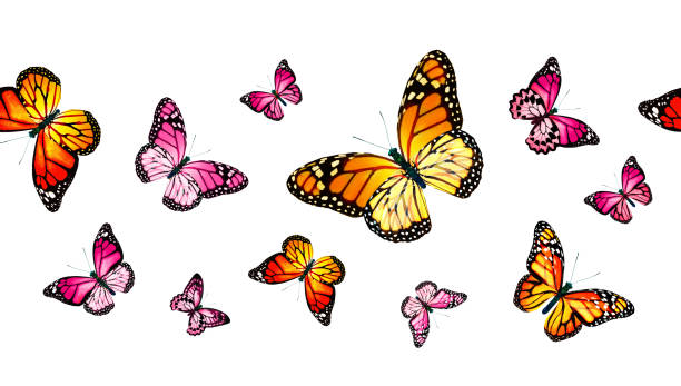 istock Color monarch butterfly , isolated on the white background 1372330536