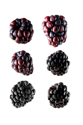 Fresh blackberries set, solated on white background