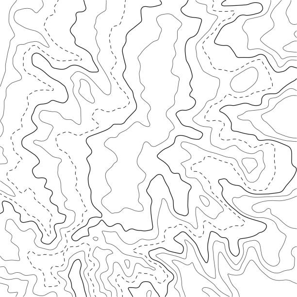 topografische konturkarte. hintergrund der geografischen rasterkarte. vektorillustration. - topographic map compass map chart stock-grafiken, -clipart, -cartoons und -symbole