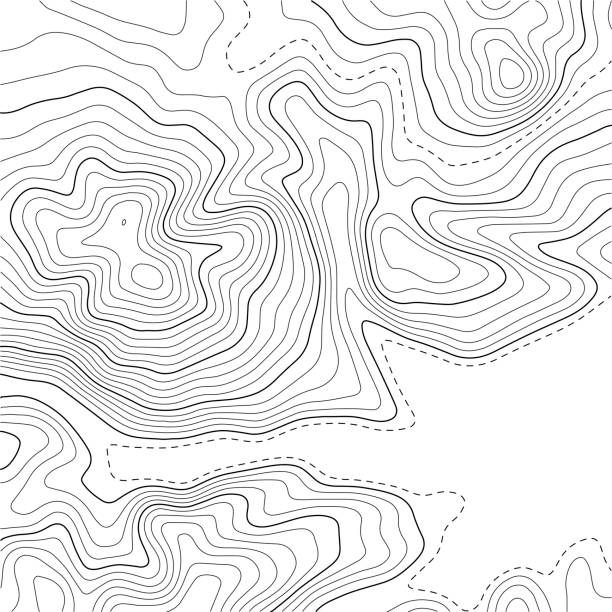 topografische konturkarte. hintergrund der geografischen rasterkarte. vektorillustration. - topographic map compass map chart stock-grafiken, -clipart, -cartoons und -symbole