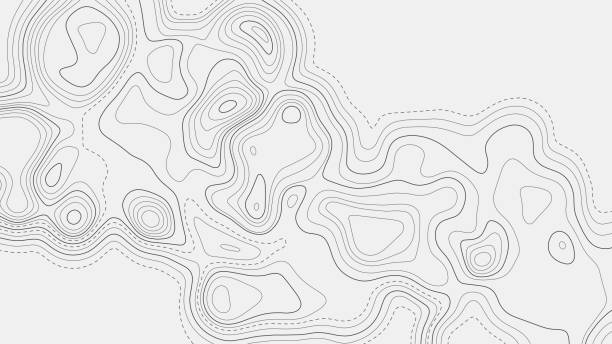 Contour topographic map. Geographic grid map background. Vector illustration. Contour topographic map. Geographic grid map background. Black lines on white background. Vector illustration. topography stock illustrations