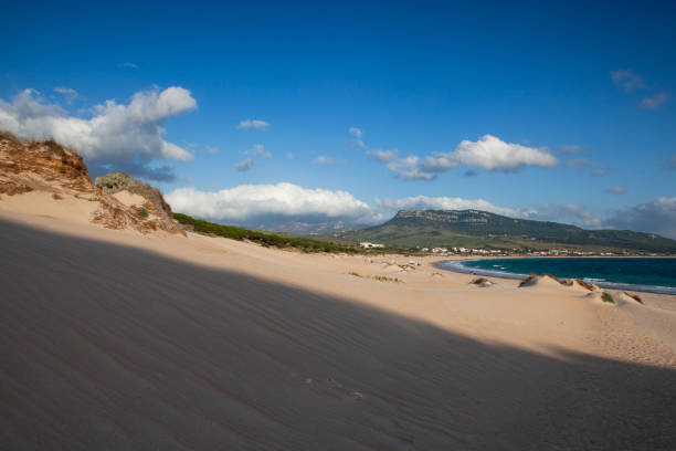 istock Dunes in Bolonia, Andalusia, Spain. 1372334575