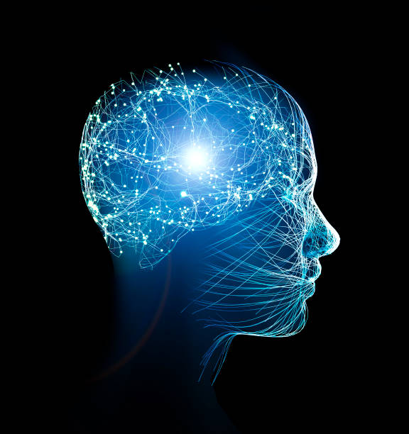неврология, философия: связи, развитие мышления и рефлексии, бесконечные возможности мозга и разума. анатомия человека. цифровая реальност� - голова человека стоковые фото и изображения
