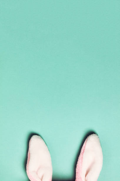 istock Plushy bunny ears  on bright background. Easter minimal concept 1372334923