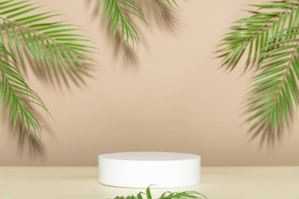 istock Abstract empty white podium with palm leaves on beige background 1372335094