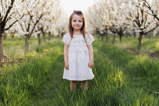 Cute caucasian female child in stylish white dress looking at camera while standing in grass among orchard. Blooming apple trees on background. Childhood and springtime concept.