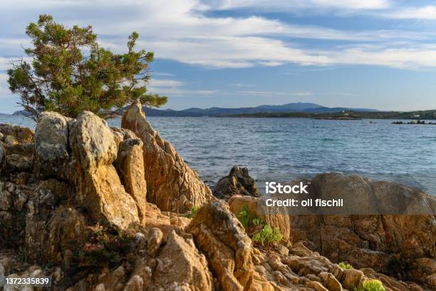 Sardinia Rocky Coast With Sea View Stock Photo - Download Image Now - Color Image, Horizontal, Italy