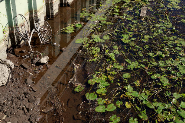 vecchia bici arrugginita sdraiata in un letto del fiume - fahrad foto e immagini stock