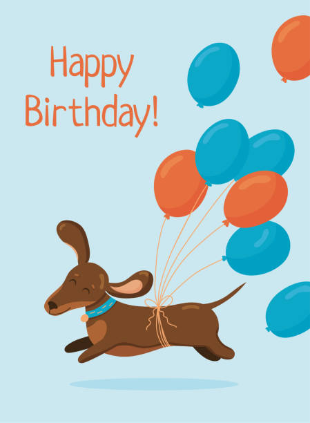 ilustraciones, imágenes clip art, dibujos animados e iconos de stock de plantilla de tarjeta de cumpleaños de felicitación. lindo perro salchicha corre en estado de ánimo enamorado con globos aerostáticos aislados sobre fondo azul. - birthday card dog birthday animal