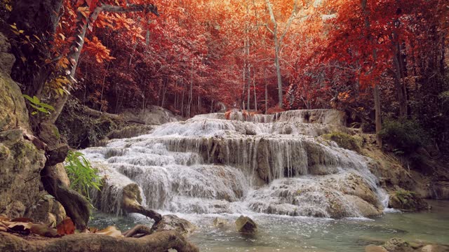 Beautiful waterfall with trees, red leaves, rocks and stones in autumn forest