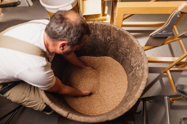 l'agricoltore maschio controlla i chicchi di grano in botte - farmer bending wheat examining foto e immagini stock