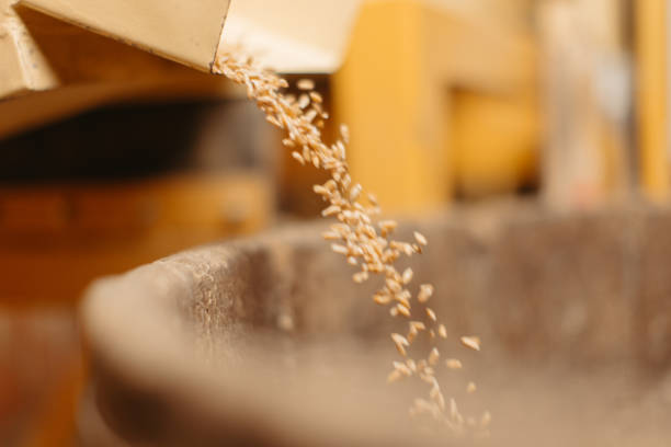 Part of dusty from flour and dust portable electric grains crusher for farm