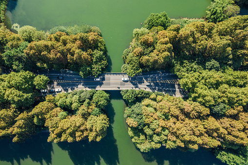 Aerial View of Road through the Lake and Tree Area