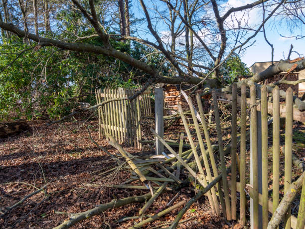 쓰러진 나무와 폭풍 후 깨진 울타리 - cyclone fence 뉴스 사진 이미지