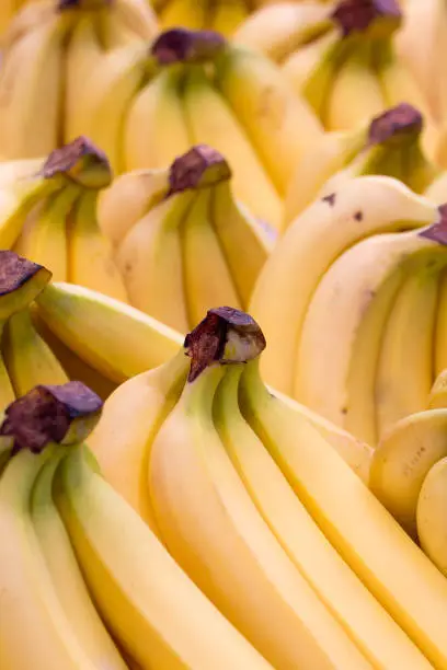 Close up shot of a bunch of fresh bananas.