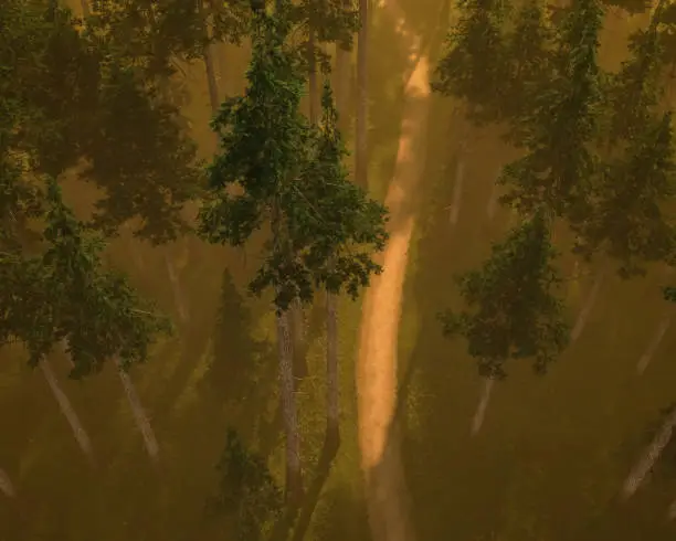 Path in foggy fir forest at sunrise in springtime. Aerial view. 3D render.