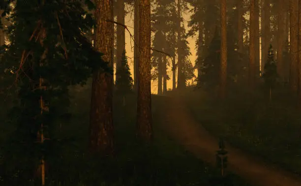 Trail in foggy fir forest at sunrise in springtime. 3D render.