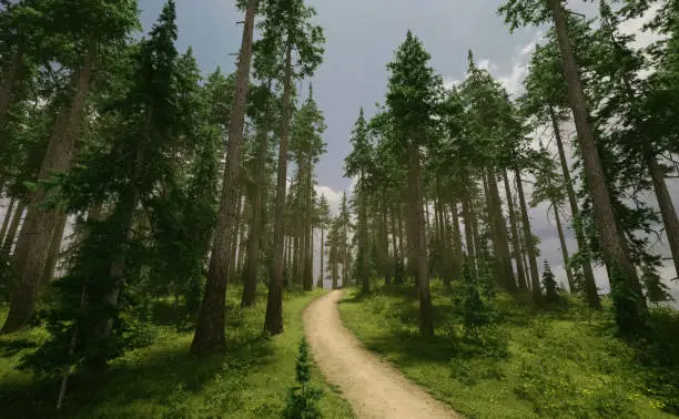 Trail in sunny forest with firs, grass and flowers under a blue cloudy sky. 3D render.