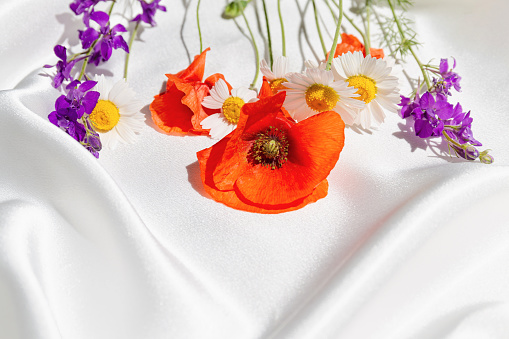 Creative composition made of meadow flowers on white silk cloth. Red poppies and  daisy. Minimal style. Nature concept background.