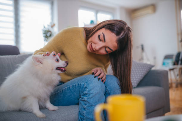 istock Dogs are man's best friend 1372351540