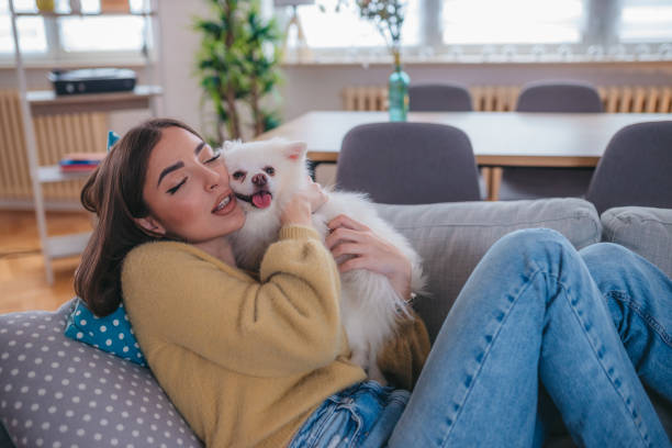 istock An attractive smiling girl hugs her little white cute dog while lying on the sofa 1372351663