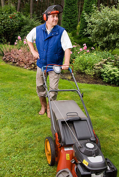 istock Senior man mowing the lawn. 137235387