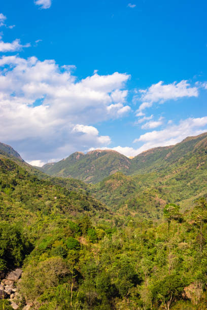istock mountain valley covered with green forests and bright blue sky at afternoon from flat angle 1372354990