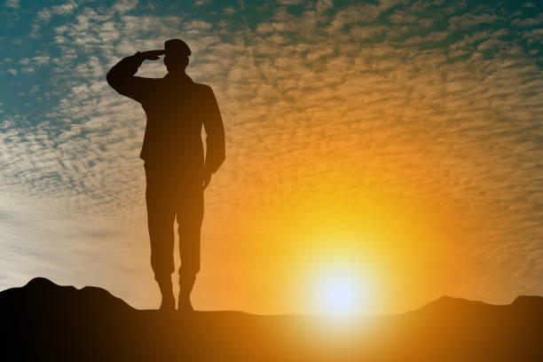 Soldier salute Soldier salute air force salute stock pictures, royalty-free photos & images