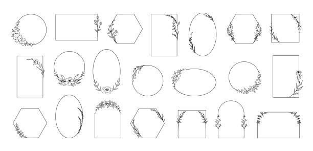 花のフレーム。植物の枝との最小限の植物の境界線。ハーブと花。書道の花や葉。幾何学的な輪郭のエレガントな形。ベクター装飾花輪セット - 地理的境界点のイラスト素材／クリップアート素材／マンガ素材／アイコン素材