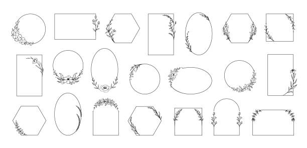 꽃 프레임. 식물 가지와 미니멀 한 식물 경계. 허브와 꽃. 서예꽃이나 잎. 기하학적 윤곽 우아한 모양. 벡터 장식 화환 세트 - frame stock illustrations