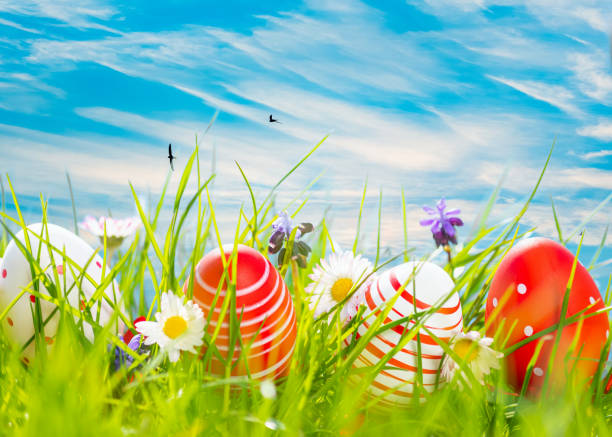 Easter eggs on grass, 3d render.