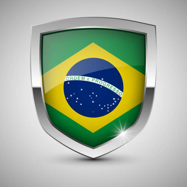 ilustraciones, imágenes clip art, dibujos animados e iconos de stock de eps10 vector escudo patriótico con los colores de la bandera de brasil. - championship 2014 brazil brazilian