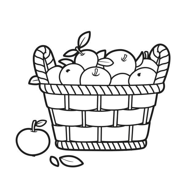 ��흰색 배경에 색칠 공부책에 대한 설명 사과와 큰 고리버들 바구니 - basket apple wicker fruit stock illustrations