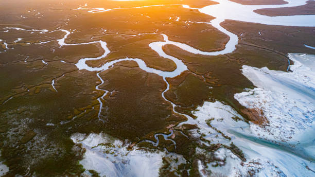 istock aerial view salt marsh folley beach 1372363083
