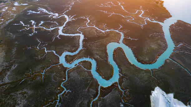 istock aerial view salt marsh folley beach 1372363105